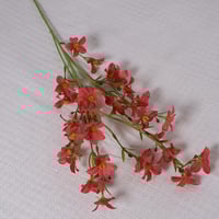 غصن زهور احمر مرجاني