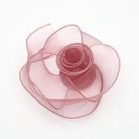 شرائط اورجنزا عريضة لحمي (10 متر)