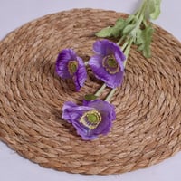 غصن ورد خشخاش موف