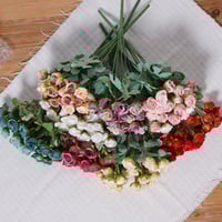 ورد بيبي روز موف بوردي