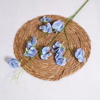 غصن بترفلاي ازرق