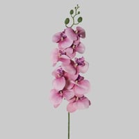 ملمس طبيعي اوركيد زهري