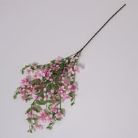 غصن الجهنمية اصفر