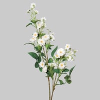 غصن بزهور ابيض