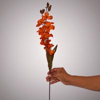 غصن ليلي وردي