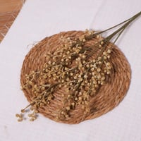 غصن تنسيق بيج