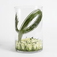 فازة زجاجية اسطوانية كبير