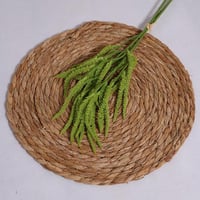 غصن خضار نازل