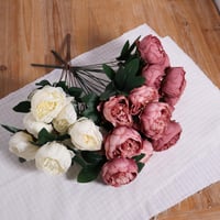 ورد بيوني موف