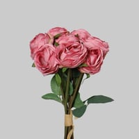 ربطة بيوني وردي