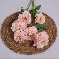 غصن الفاوانيا وردي فاتح