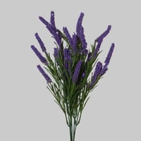 بنش اللافندر موف