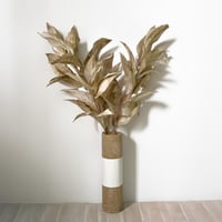 اغصان ورق الشجر بني