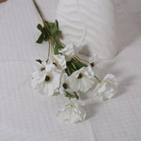 غصن كبير بورد ابيض