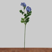 غصن الفاوانيا اصفر