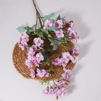 شيري بلوسم موف