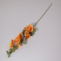 غصن ورد كبير ابيض