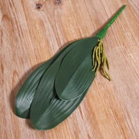 خضار الاوركيد 35 سم