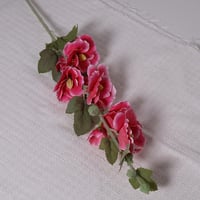 غصن ورد كبير وردي