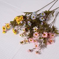 غصن زهور الاقحوان اصفر