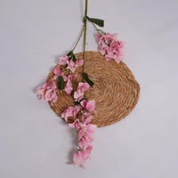 غصن الربيع وردي