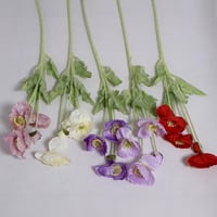 غصن ورد خشخاش احمر