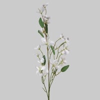 غصن كبير بزهور ابيض