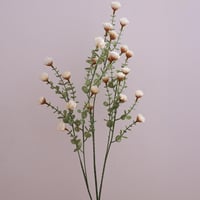 ورد بزهور صغيره ابيض