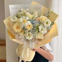 تغليف بلاستيك كحلي ( 20 حبه )