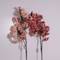 غصن شيري بلوسم وردي غامق