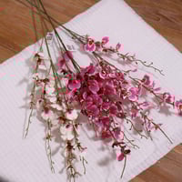 غصن بيبي اوركيد وردي