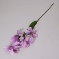 غصن زهور ابيض