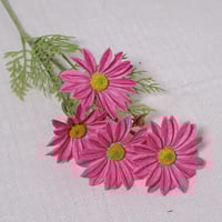 غصن ديزي وردي