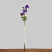 غصن البومبون وردي