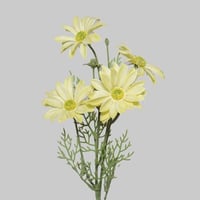 غصن ديزي اصفر