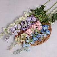 الدلفينيوم ازرق شبه الطبيعي