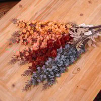 غصن الدلفينيوم برتقالي