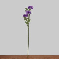 غصن البومبون موف فاتح