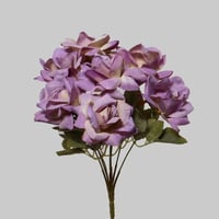 جوري مفتوح موف