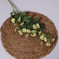 غصن بزهور اخضر