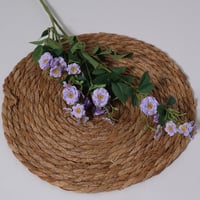 غصن بزهور بنفسجي