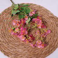 غصن زهور فوشي