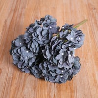 ورد هيدرنجا رمادي