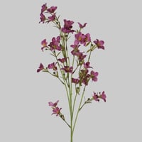 غصن زهور موف