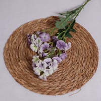 غصن جلاديواس موف