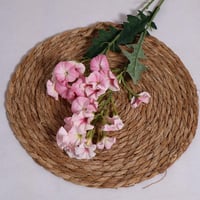 غصن جلاديواس وردي