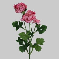 غصن الفاوانيا وردي