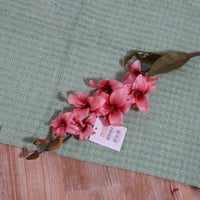 غصن ليلي وردي