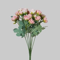 ورد بيبي روز وردي