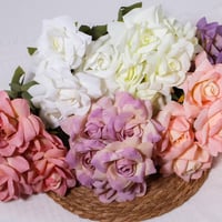 جوري مفتوح وردي